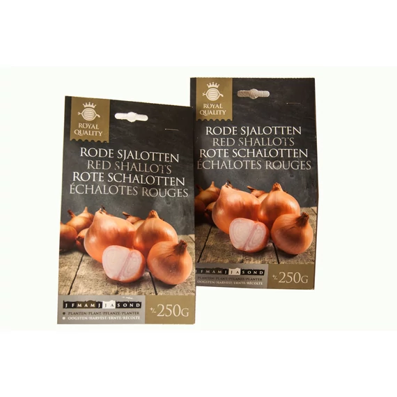 Dughagyma Salotta 250 g Red Sun 