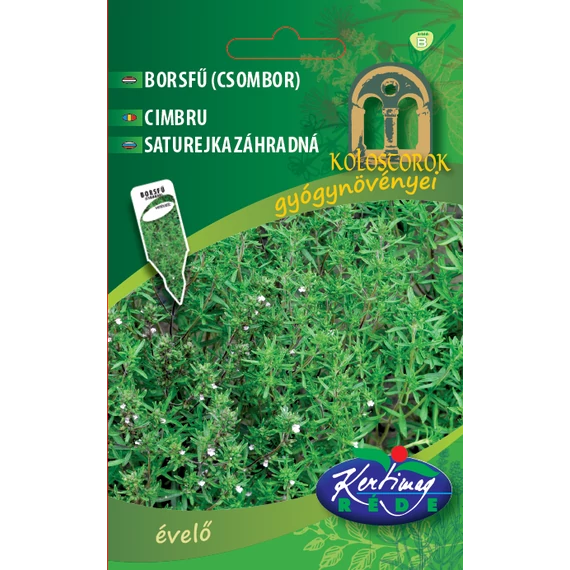 Borsfű ( csombor ) vetőmag  1g évelő   B kat. 
