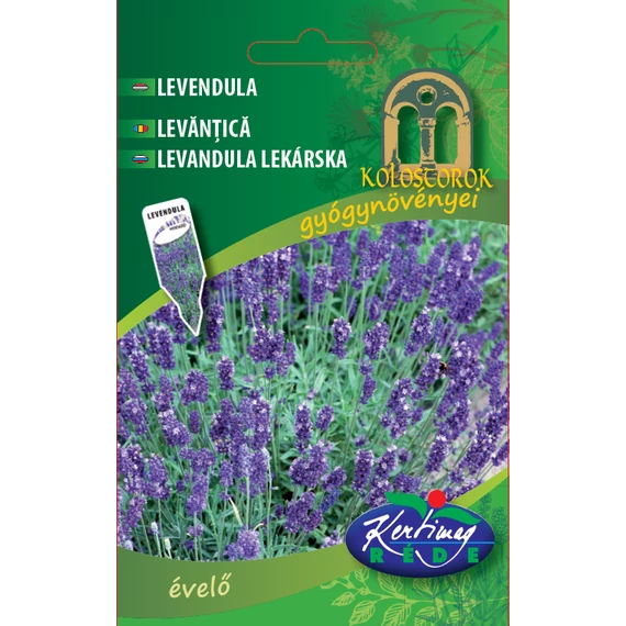 Levendula vetőmag  1 g évelő  B kat. 