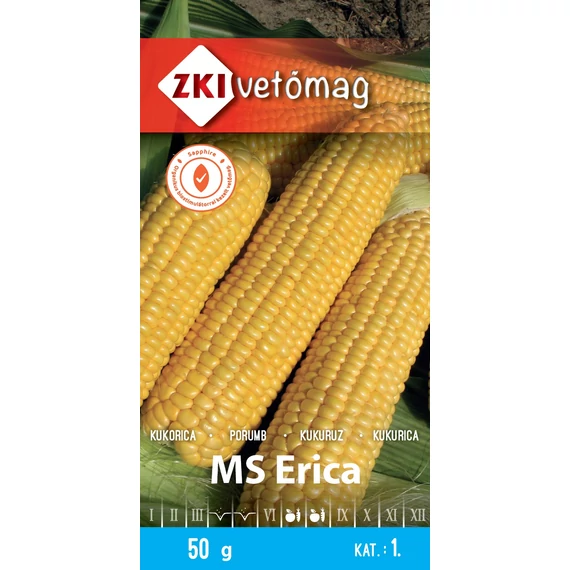 Kukorica vetőmag  50 g MS Erica  2 kat. ZKI 