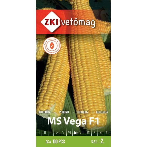 Csem kukorica vetőmag  100szem MS Vega F1  2 kat. ZKI 