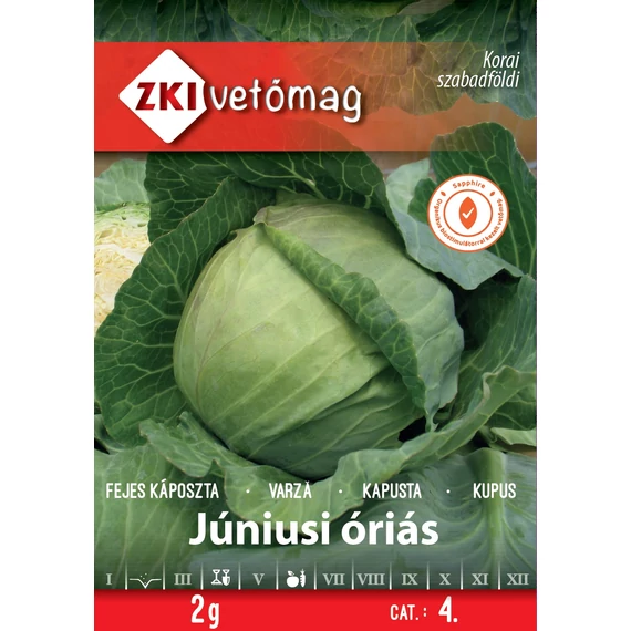 Fejes káposzta vetőmag  2 g Júniusi óriás  4 kat. ZKI 
