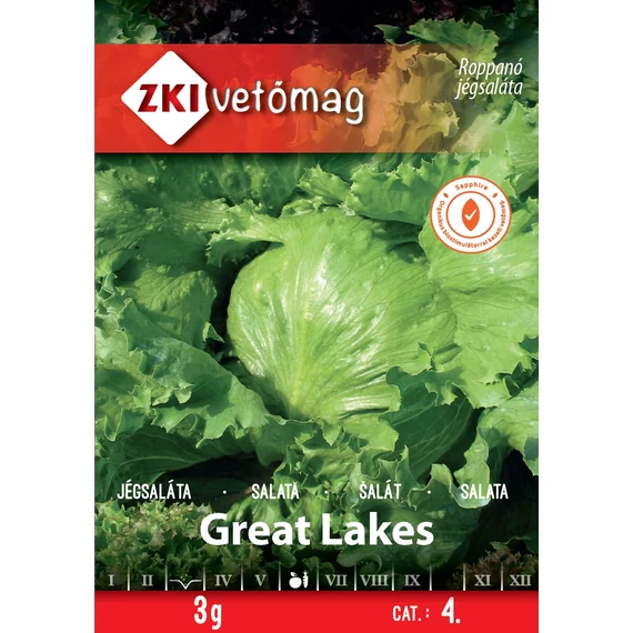 Jégsaláta vetőmag 3 g Great Lakes  4 Kat.  ZKI 