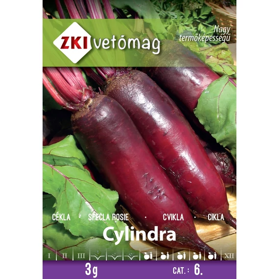 Cékla vetőmag 3 g Cylindra  4 Kat. 