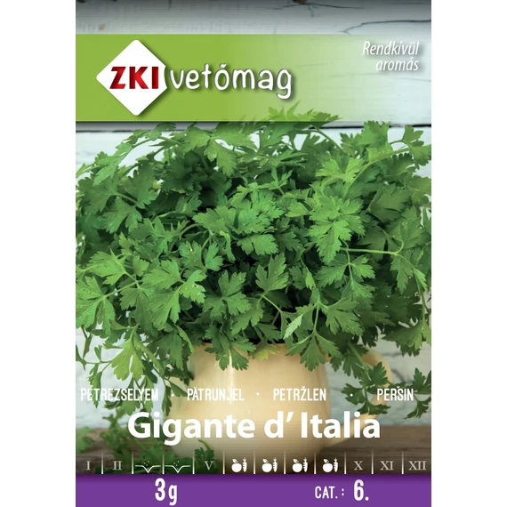 Metélőpetrezselyem vetőmag 3 g Gigante d'Italia  ZKI 6 Kat. 