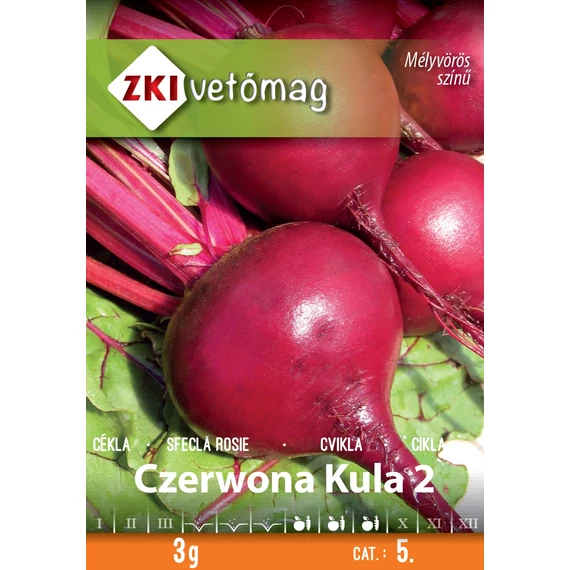 Cékla vetőmag 3 g Czerwona Kula  ZKI 5. Kat. 