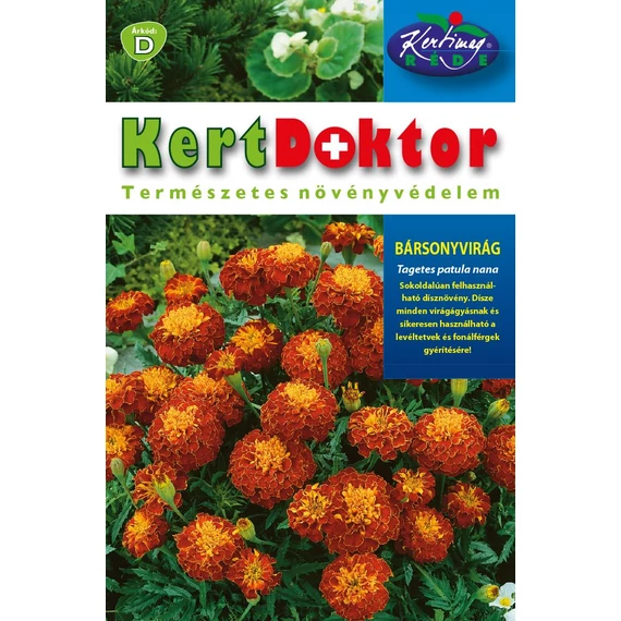 Bársonyvirág vetőmag 10g Tagetes patula nana  D kat.  Réde 
