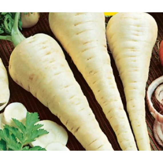 Petrezselyem vetőmag  50 g Korai cukor /  Réde 