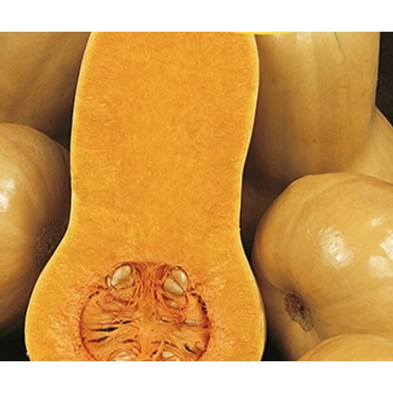Sütőtök vetőmag 25 g Orange 