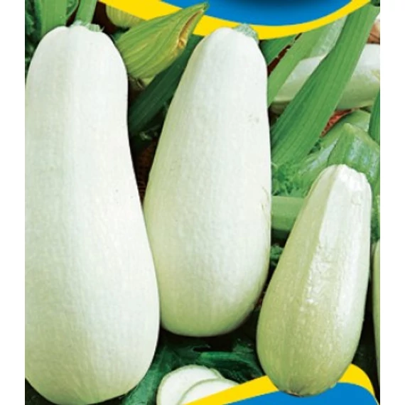 Spárgatök vetőmag 50 g Alba 