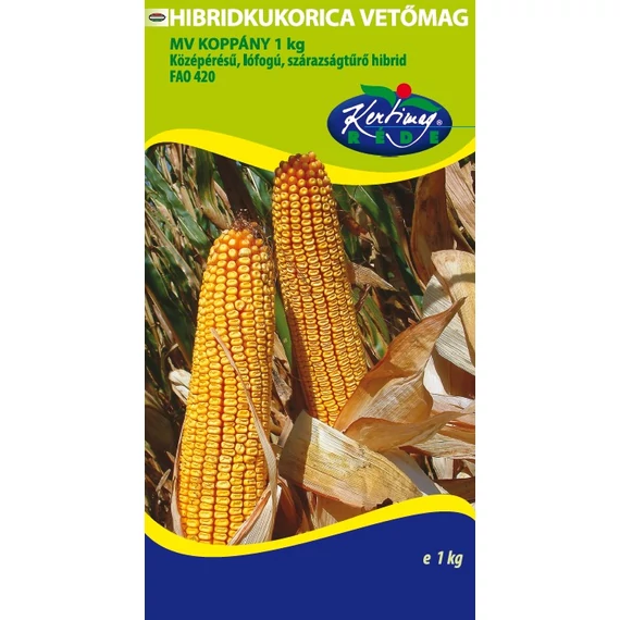 Hibridkukorica vetőmag 1kg MV Koppány  Réde 