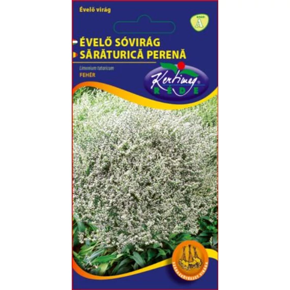 Évelő sóvirág vetőmag 0,2 g Limonium tataricum  Fehér  A Kat. 