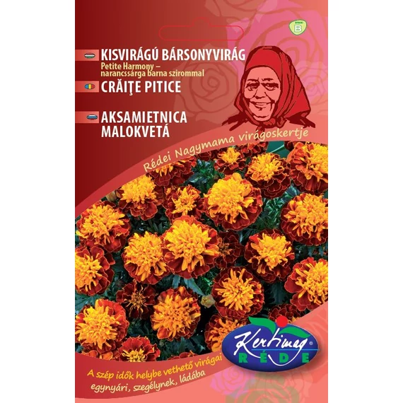 Bársonyvirág vetőmag 2 g Petite Harmony narancs-barna  B Kat. 