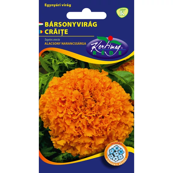 Bársonyvirág vetőmag  1 g Alacsony narancsárga  K kat. 