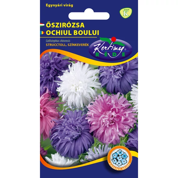 Őszirózsa vetőmag  1 g Strucctoll színkeverék  K kat. 