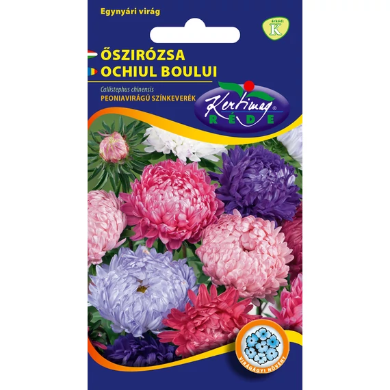 Őszirózsa vetőmag  1 g Peoniavirágú színkeverék  K kat. 