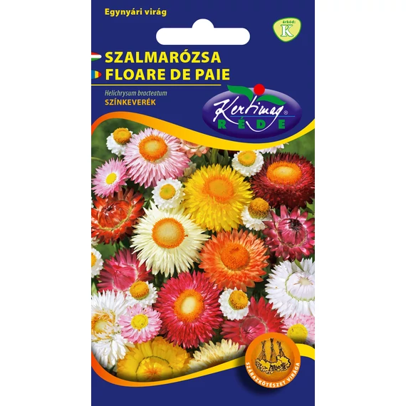 Szalmarózsa vetőmag 1g Helichrysum bracteatum színkev.  K Kat. 