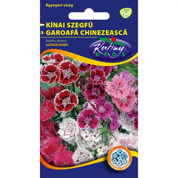 Kínai szegfű vetőmag 0,5 g Dianthus chinensis  K Kat. 