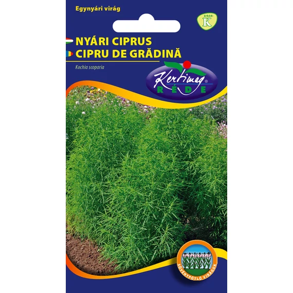 Nyári ciprus vetőmag 1 g Kochia scoparia  K Kat. 