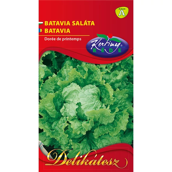 Batavia saláta vetőmag 2 g Dorée de printemps  A kat. 