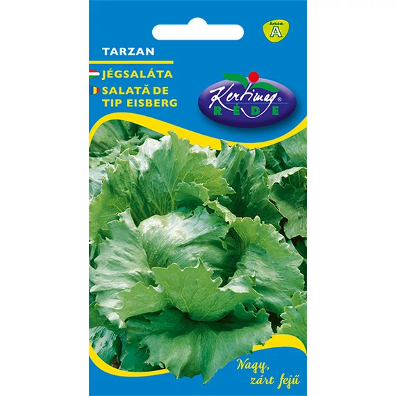 Jégsaláta vetőmag 2 g Tarzan  A Kat. 