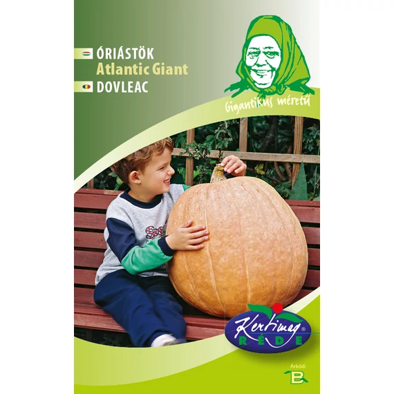 Óriástök vetőmag 6 szem Atlantic Giant  B kat. 