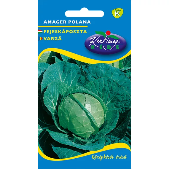 Fejeskáposzta vetőmag 2 g Amager Polana  K kat. 