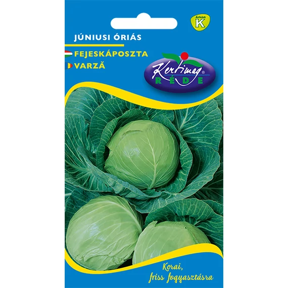 Fejeskáposzta vetőmag 2 g Júniusi óriás  K kat. 