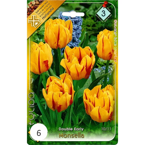 Tulipán virághagyma 6 db/csom Double Early Monsella  3 -as árcs. 