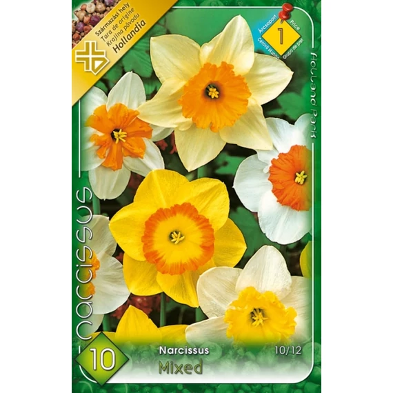 Nárcisz virághagyma 8 db/csom Narcissus Mixed  1 -es árcs. 
