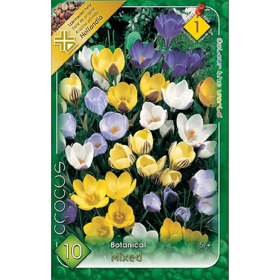 Krókusz virághagyma 10 db/csom Botanical Mixed 1 -es árcs. 