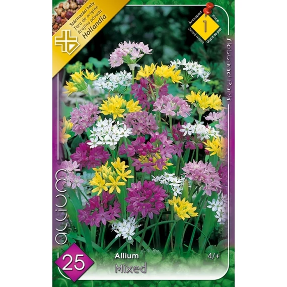 Sziklakerti díszhagym 25 db/cs Allium Mixed 1 -es árcs. 