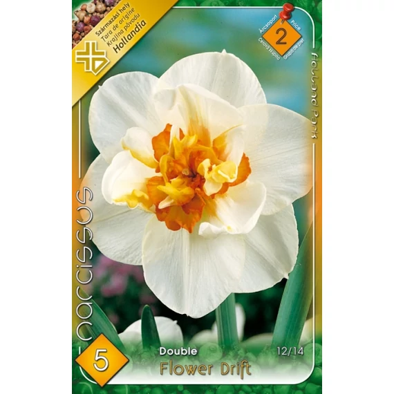 Nárcisz virághagyma 5 db/csom Double Flower Drift 2 -es árcs. 
