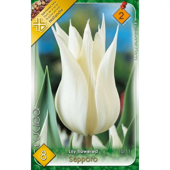 Tulipán virághagyma 8 db/csom Lily Flowered Sapporo  2 -es árcs 