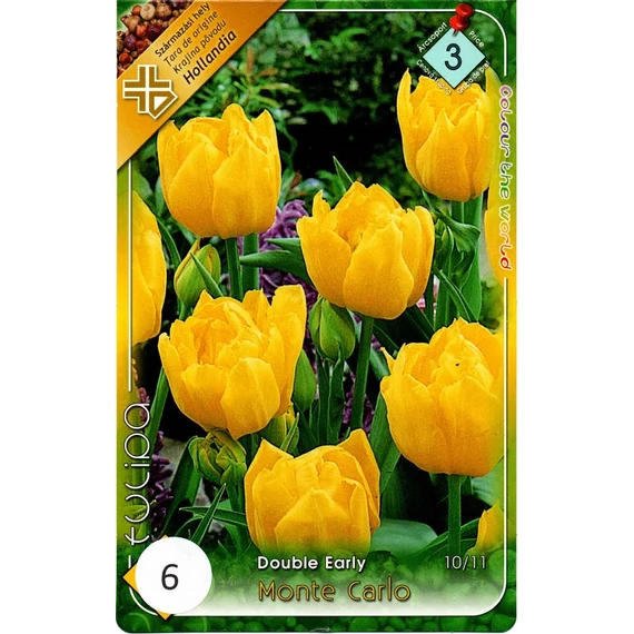 Tulipán virághagyma 6 db/csom Double Early Monte Carlo 3 -as árcs. 