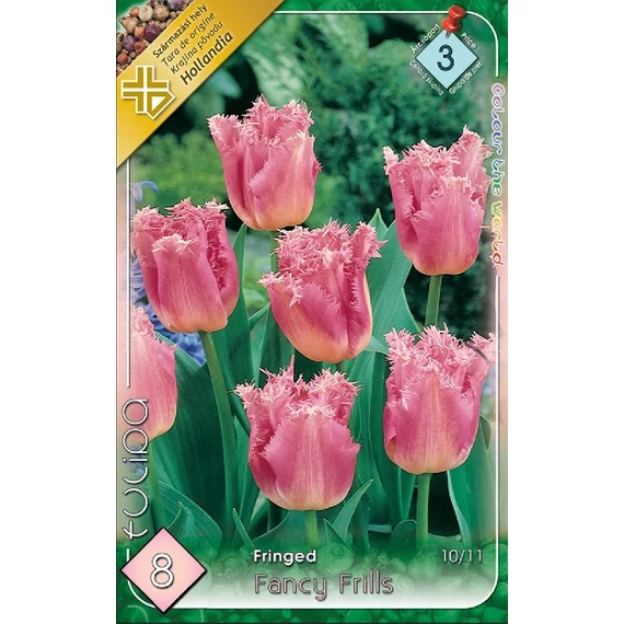 Tulipán virághagyma 8 db/csom Fringed Fancy Frills  3 -as árcs 
