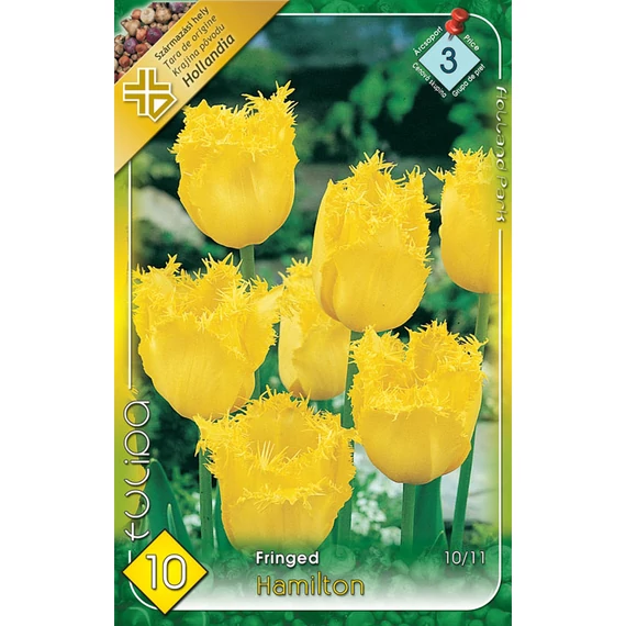 Tulipán virághagyma 10 db/csom Fringed Hamilton  3 -as árcs 