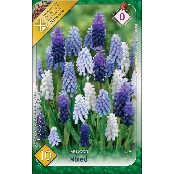 Gyöngyike virághagyma 10 db/cs Muscari Mixed 0 -ás árcs 