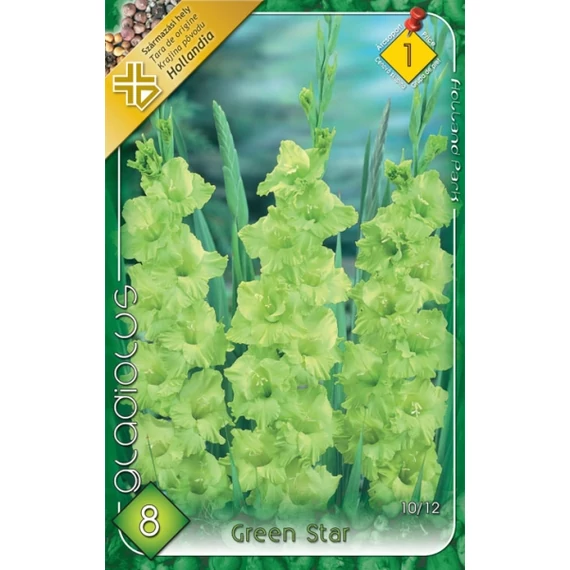 Kardvirág virágh. 8 db / cs. Green Star  1 - es árcsop. 