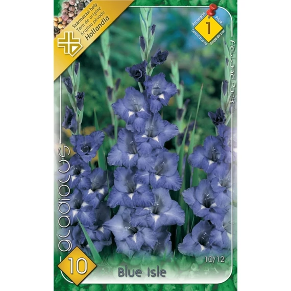 Kardvirág virágh.  10 db/cs Blue Isle 1 -es árcsop. 
