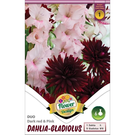 Dália - kardv. virágh. 6 db/cs Duo Dark red 