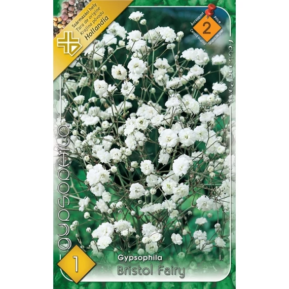 Gypsophila virágh. 1 db / csom Bristol Fairy  2 -es árcs. 