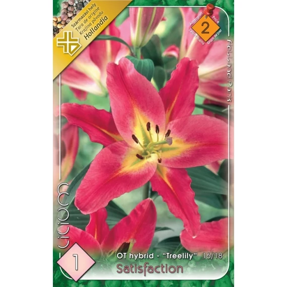 Liliom virághagyma 1 db / cs Satisfaction  2 - es árcs. 