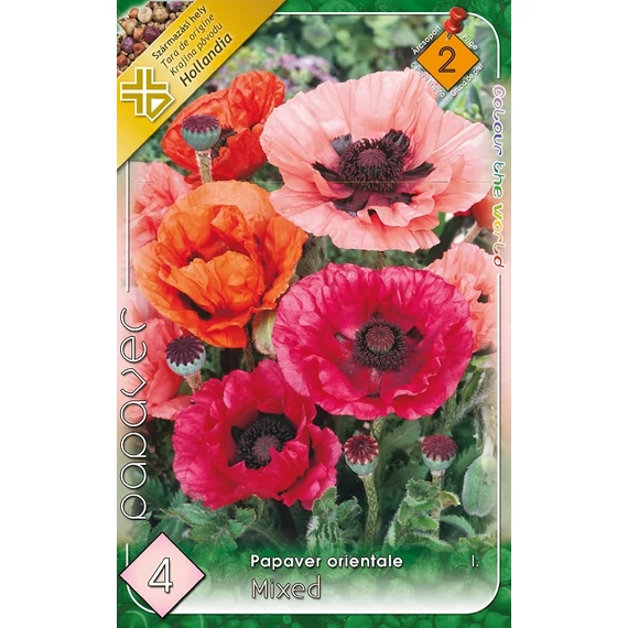 Díszpipacs virághagyma 4 db/cs Papaver orientale mixed 2 -es árcs. 